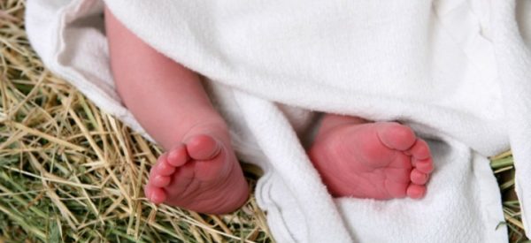 Christmastide<br />Dec 24 – Jan 11