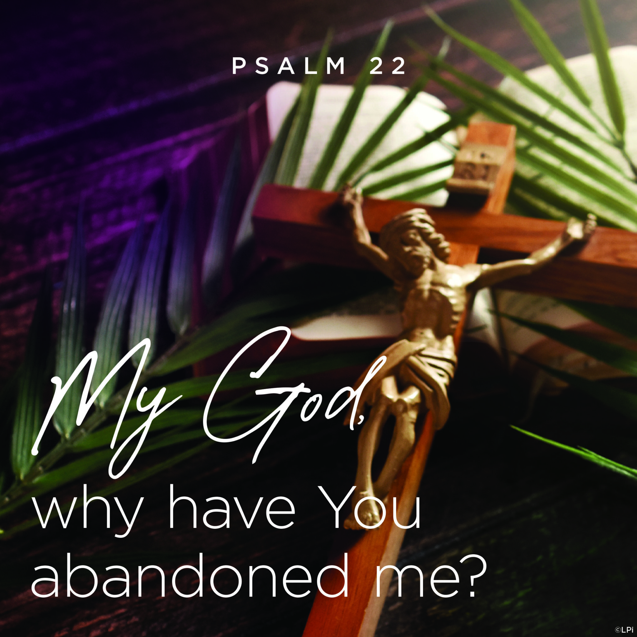 Palm Sunday Passion GospelVideo now available!