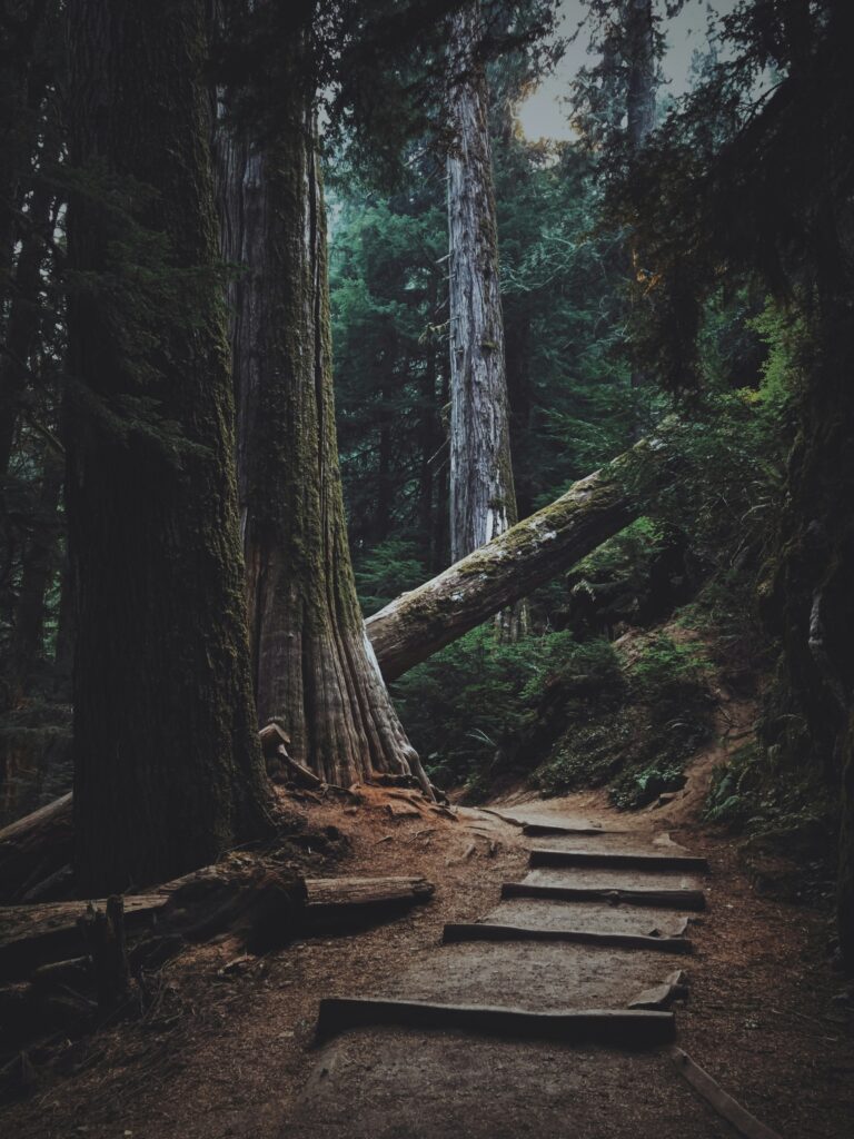 Unworldly Calm