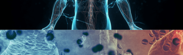 One Body, Many Cells: Becoming One in Jesus