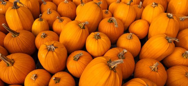 Halloween Candy Collection<br />November 10-21