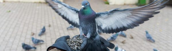 More to the One Who Has