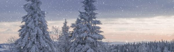 Light in the Darkness