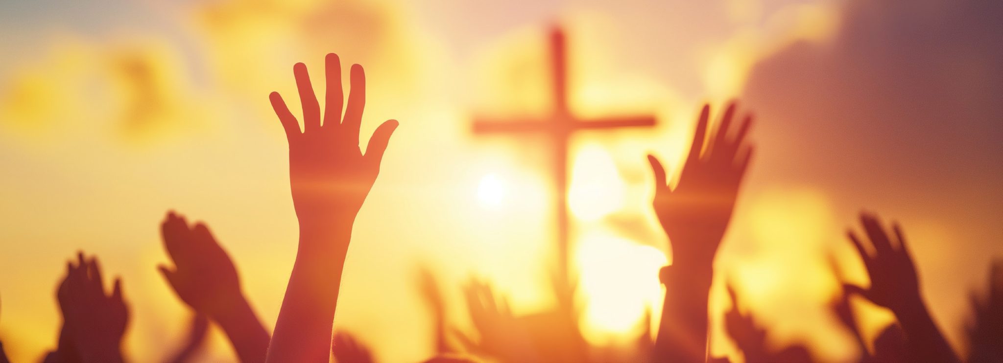 Annual Catholic AppealFebruary 2026