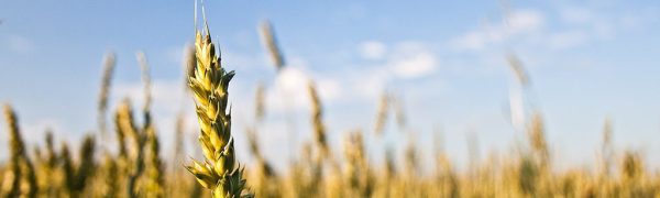 By the Hand of God, Not Men