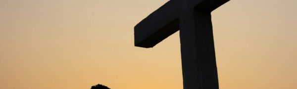 Expect the Unexpected!