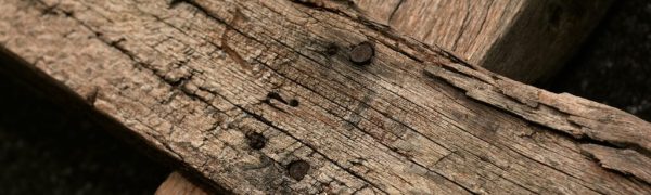 A Week to Feel His Profound Love